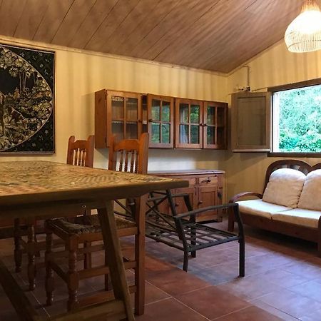 Els Avets De La Muga Bed & Breakfast Sant Llorenc de la Muga Екстериор снимка