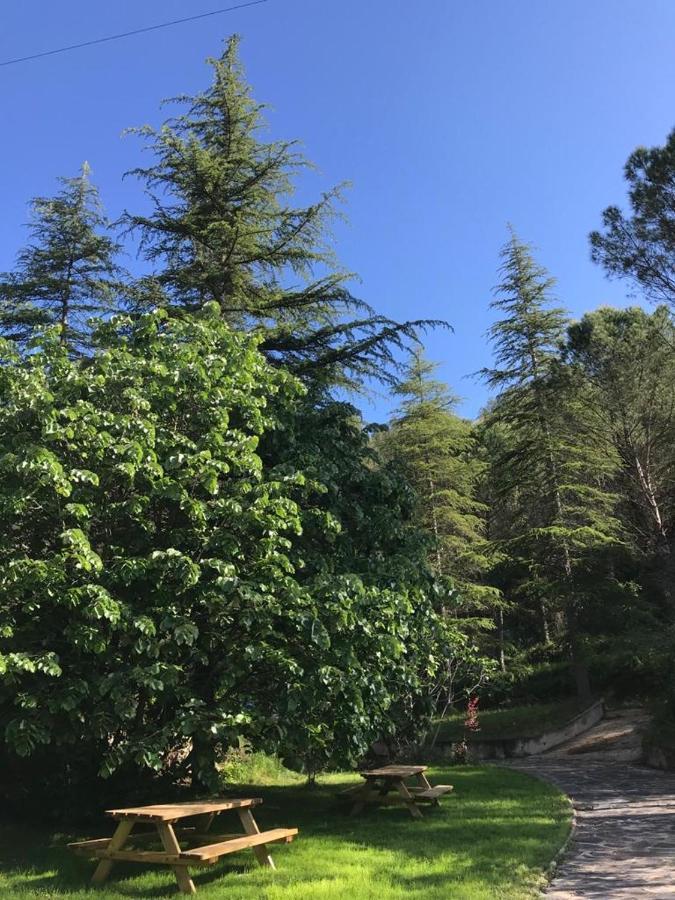 Els Avets De La Muga Bed & Breakfast Sant Llorenc de la Muga Екстериор снимка