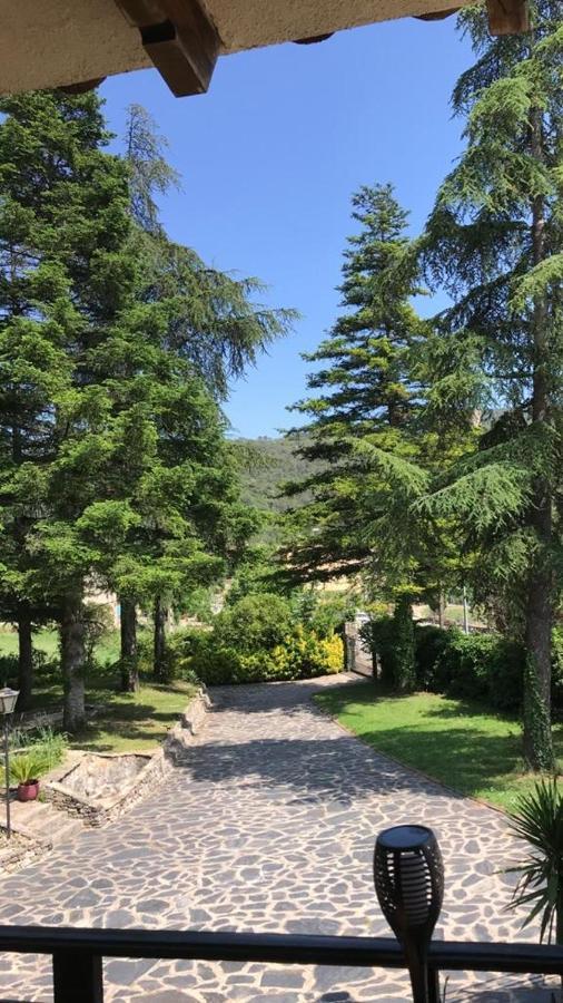 Els Avets De La Muga Bed & Breakfast Sant Llorenc de la Muga Екстериор снимка