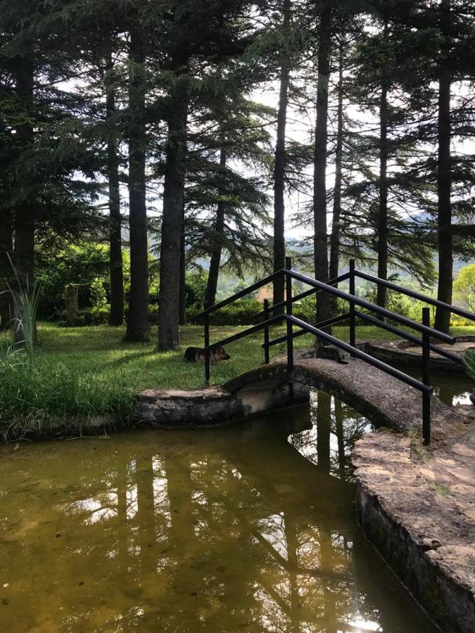 Els Avets De La Muga Bed & Breakfast Sant Llorenc de la Muga Екстериор снимка